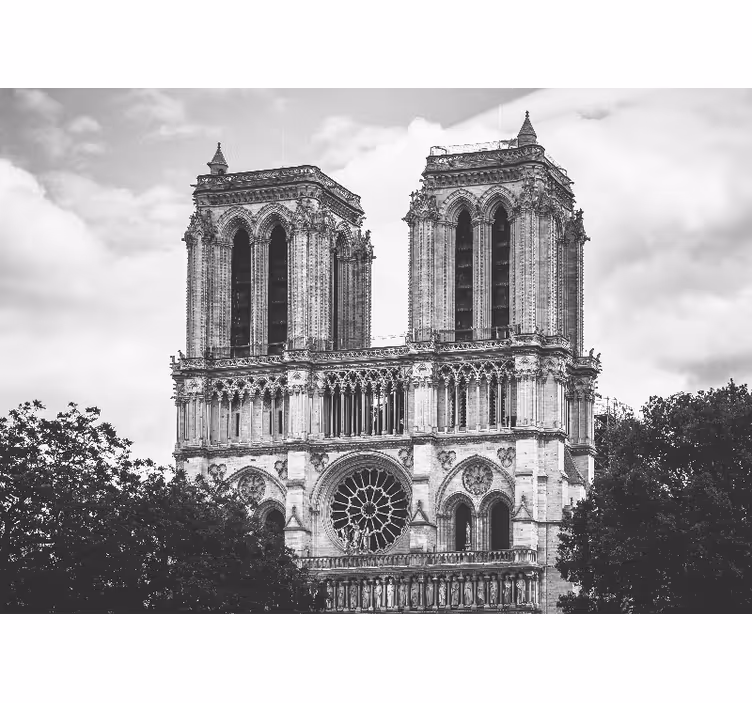 Zidni zid katedrale notre-dame de paris - TenStickers