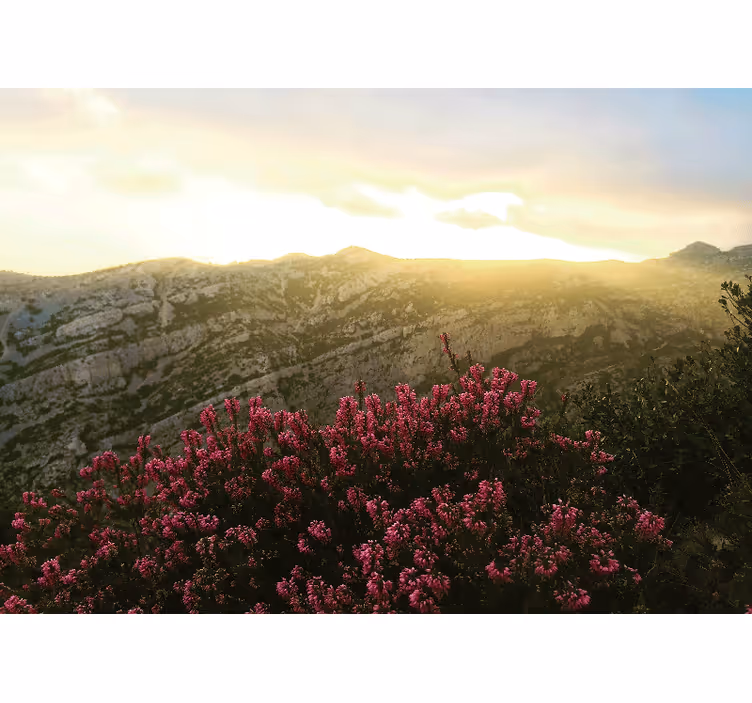 Tapete priroda rascvjetana ružičasta flora - TenStickers