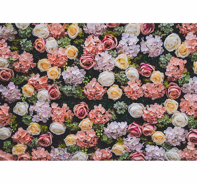 Foto tapete cvijet s naglascima cvjetne ruže - TenStickers
