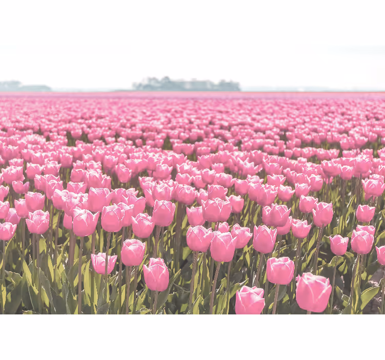 Foto tapete od maka u ružičastim tulipanima - TenStickers