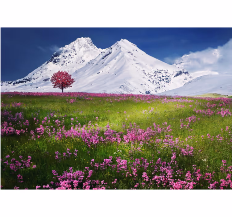 Foto tapeta pogled na planinsku livadu - TenStickers