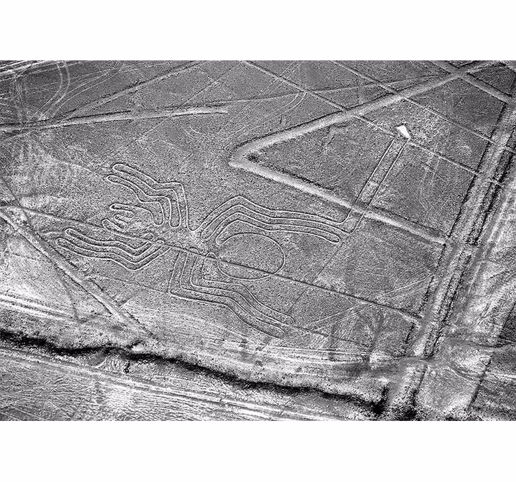 Zidni freske nazca pauk geoglif - TenStickers