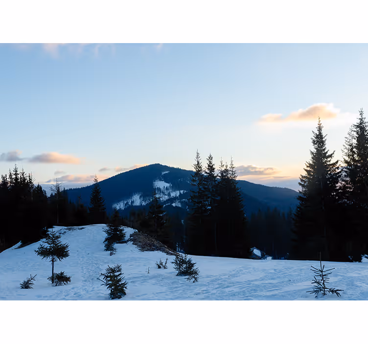 Francuske alpe zidne slike - TenStickers