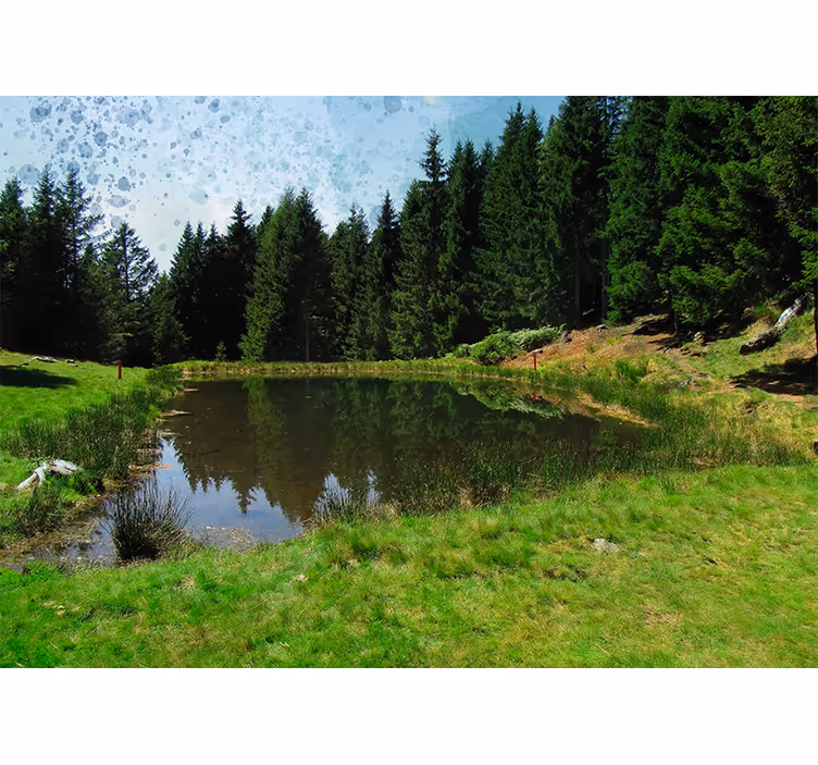 Foto tapeta miran pogled na šumu - TenStickers