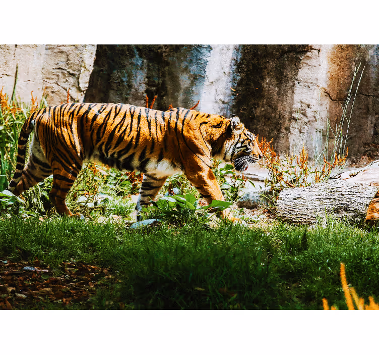 Zidni freske majestic tiger u hodu - TenStickers