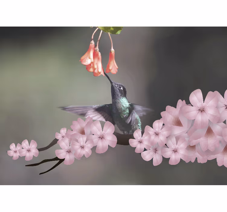 Zidni freske kolibri i cvjetovi - TenStickers