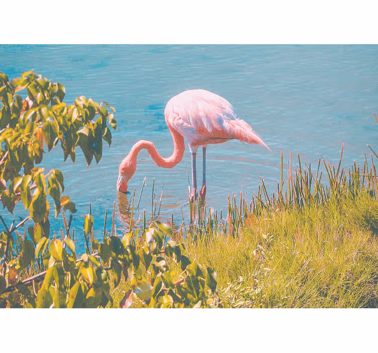 Zidni freske ružičasti flamingo vedrina - TenStickers