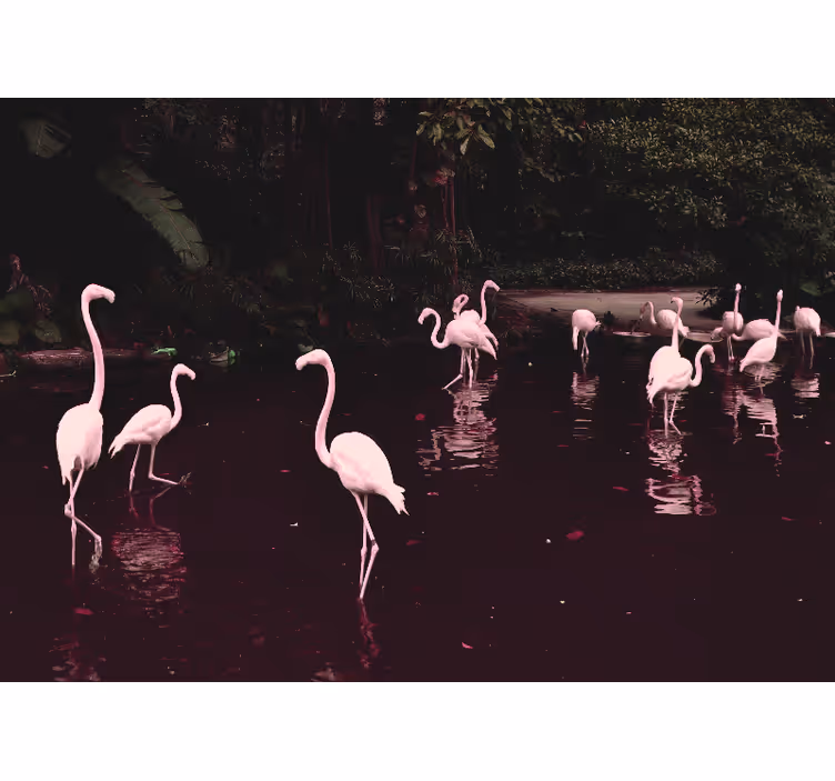Foto tapeta ured elegantno okupljanje flamingosa - TenStickers