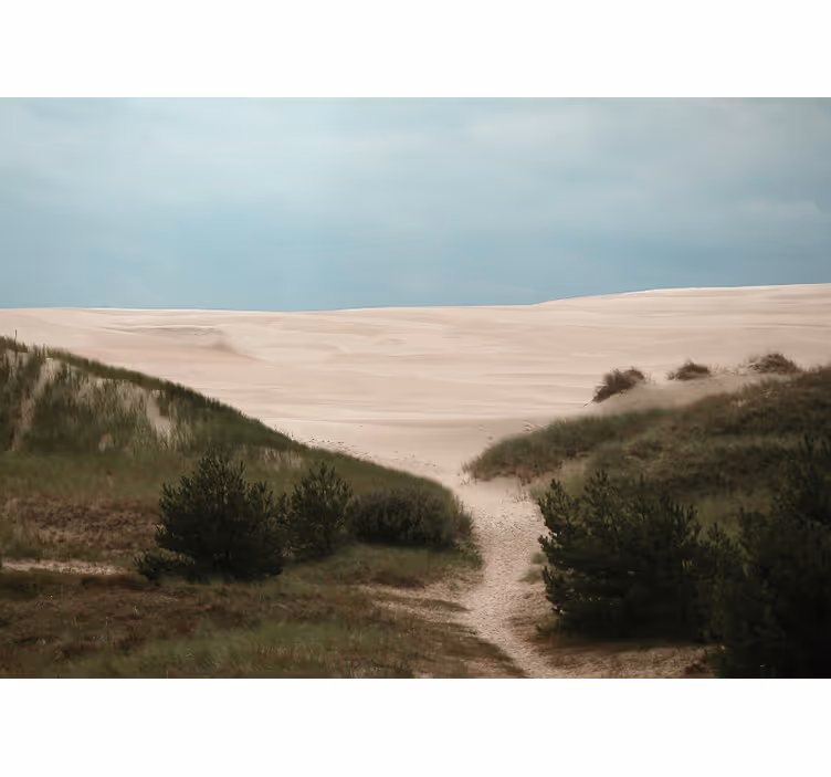 Foto tapeta pješčana dina i staza - TenStickers