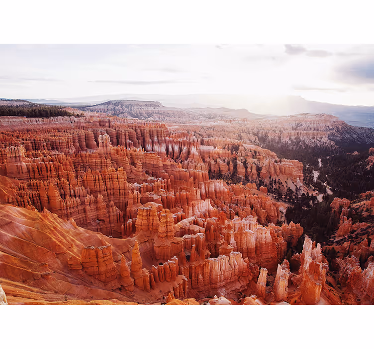 Foto tapeta pogled na bryce canyon - TenStickers