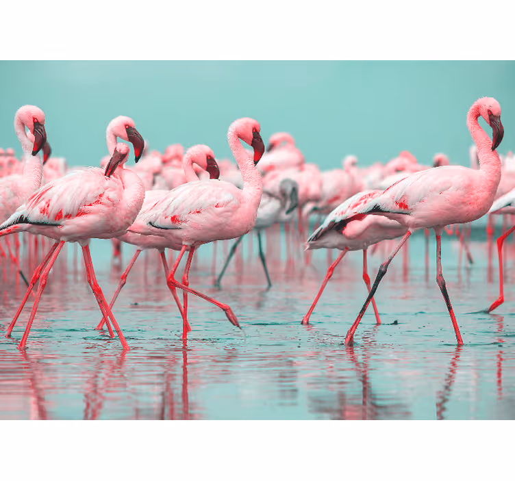 Zidni freske flamingo jato šetnja - TenStickers