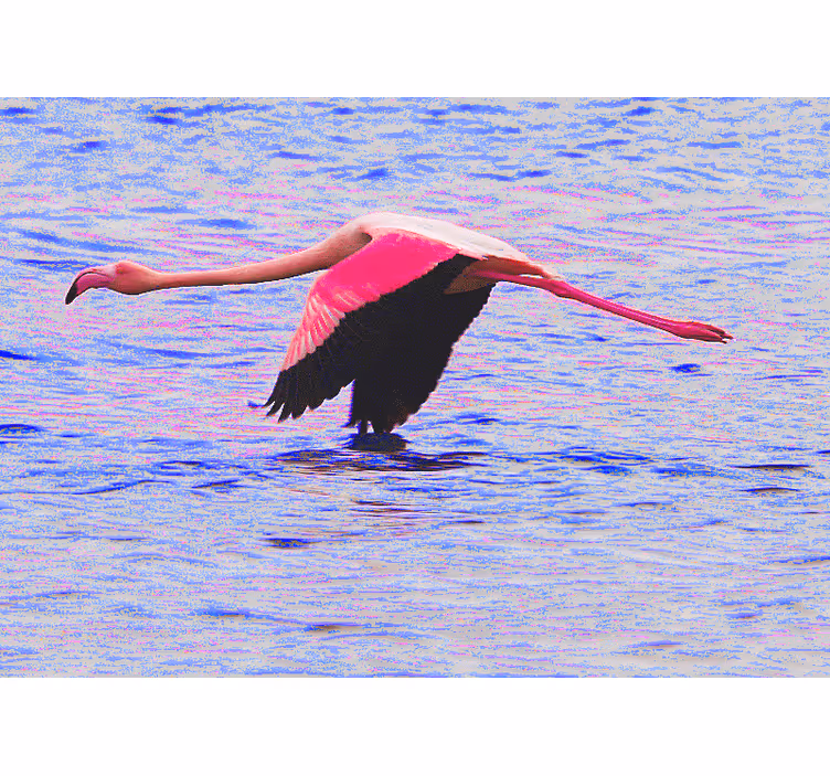 Foto tapeta flamingo u letu - TenStickers
