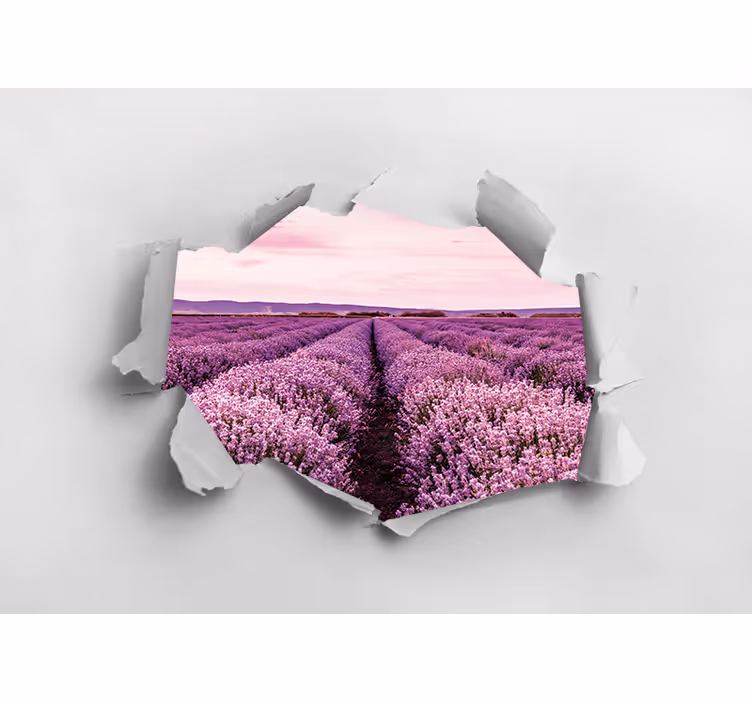 Foto tapete cvijet lavanda u polju - TenStickers
