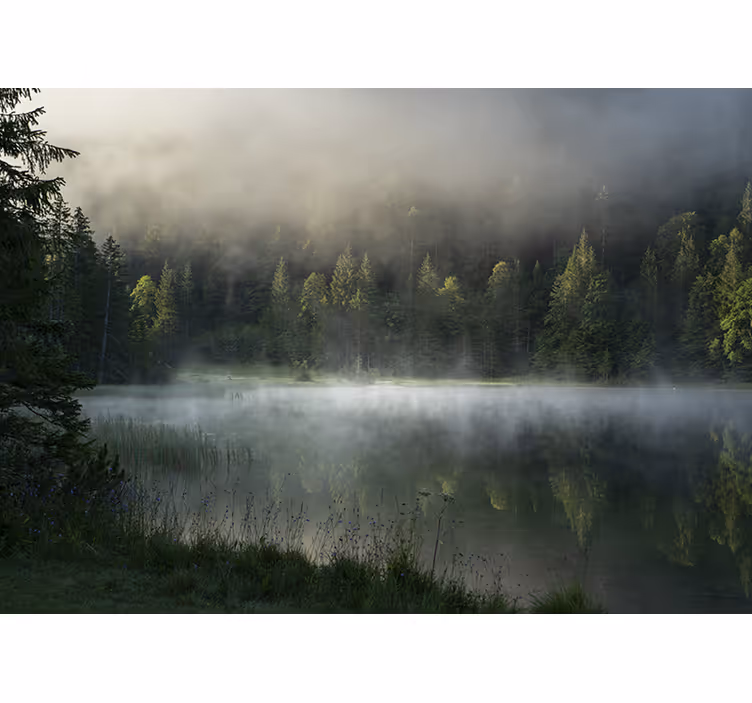 Tapete priroda serene maglovito jezero - TenStickers