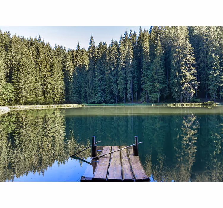 Tapete priroda serene odraz šume - TenStickers