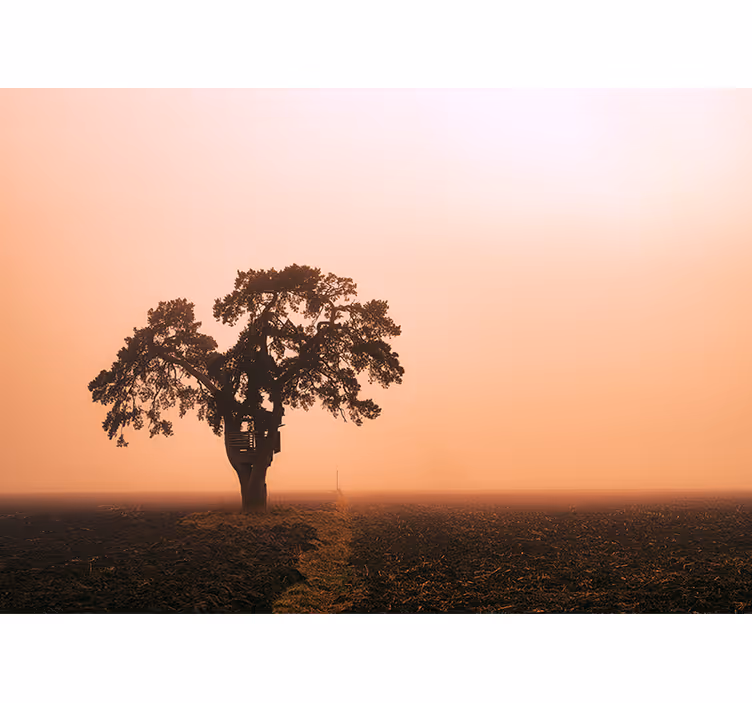 Foto tapete afričkog stila veličanstveno drvo savane - TenStickers