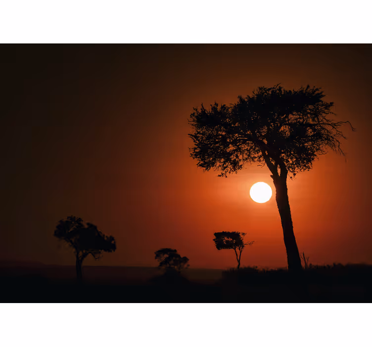 Foto tapeta silueta prizor zalaska sunca - TenStickers