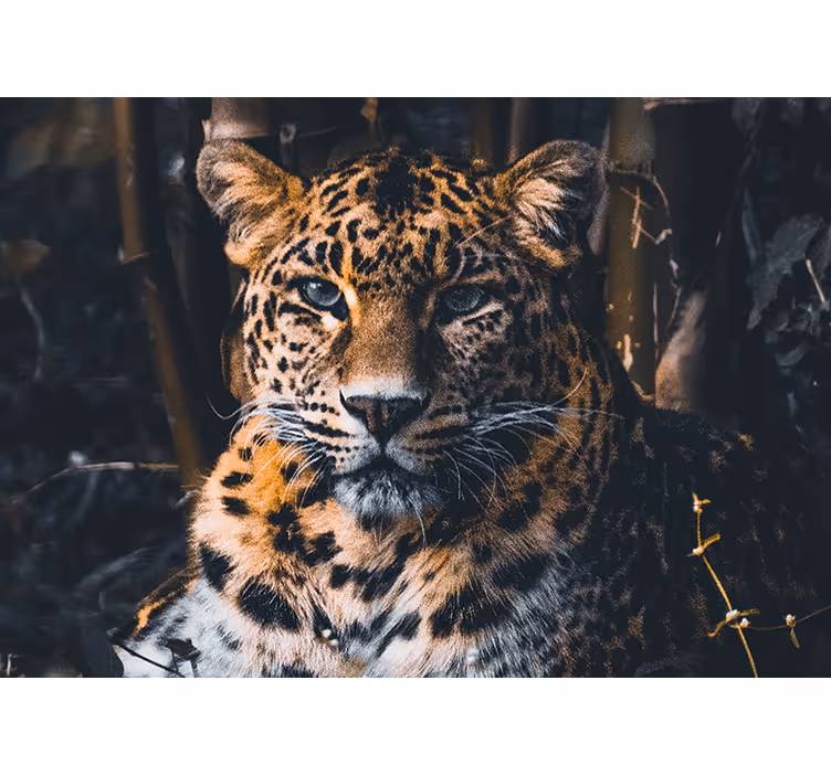 Zidni freske portret veličanstvenog leoparda - TenStickers