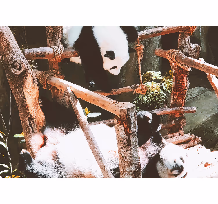 Zidni freske panda scena igre - TenStickers