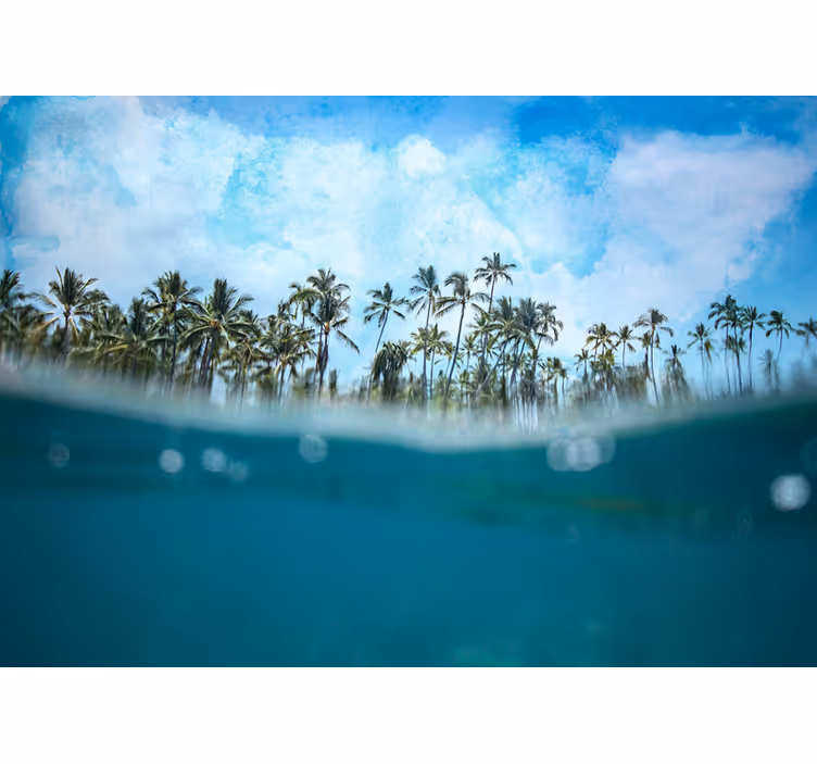 Tapete priroda palm tree horizon - TenStickers