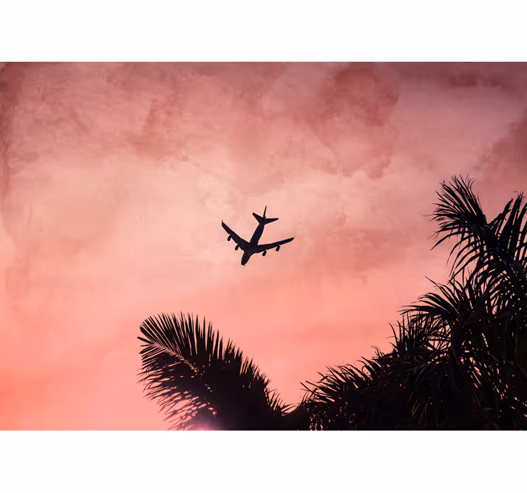 Foto tapete vozila silueta aviona u sumrak - TenStickers