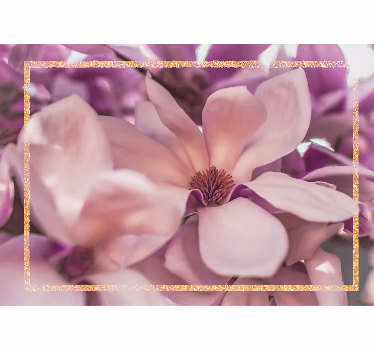 Foto tapete cvijet blizak pogled na magnoliju - TenStickers