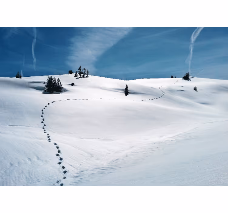 Foto tapete planinski snježna planinska staza - TenStickers