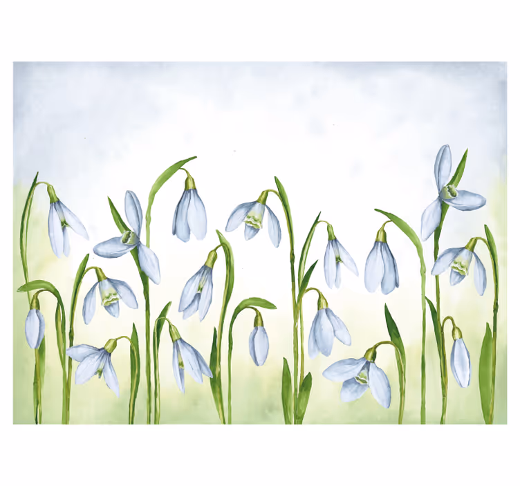 Ostale zidne freske snjeguljica flora - TenStickers