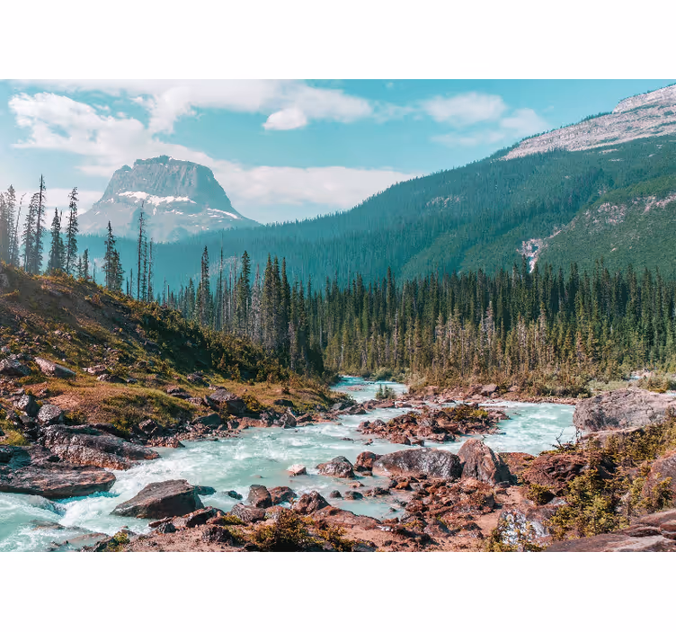 Foto tapeta zeleni planinski potok - TenStickers