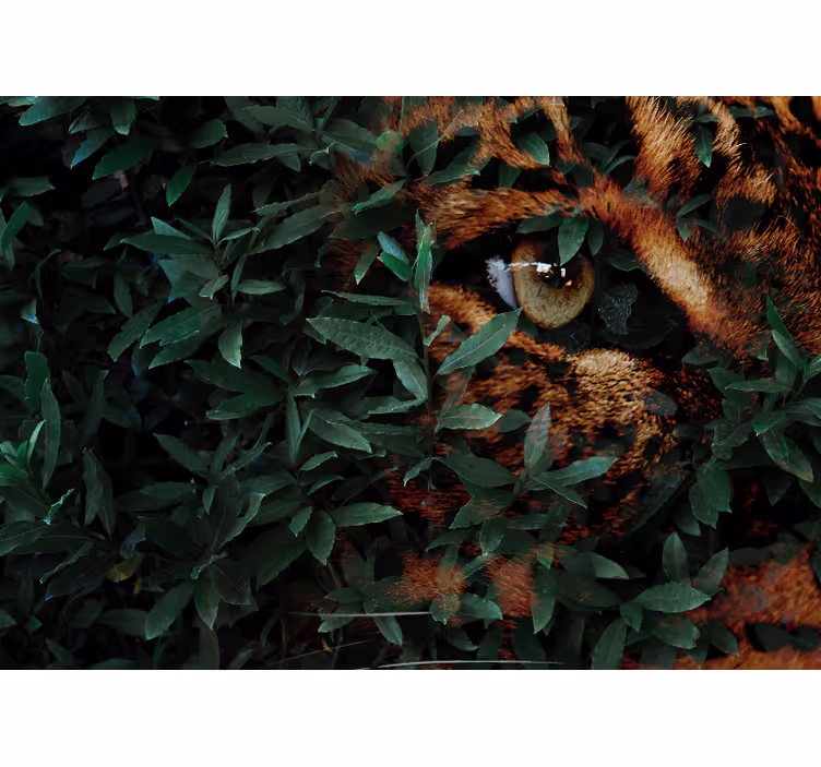 Zidni freske leopard među lišćem - TenStickers