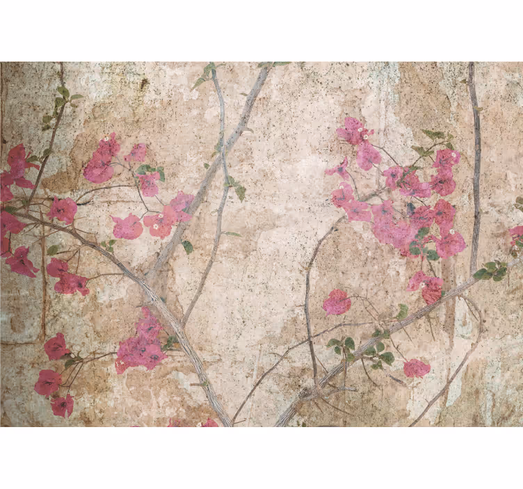 Foto tapete cvijet pink bougainvillea cvjetovi - TenStickers
