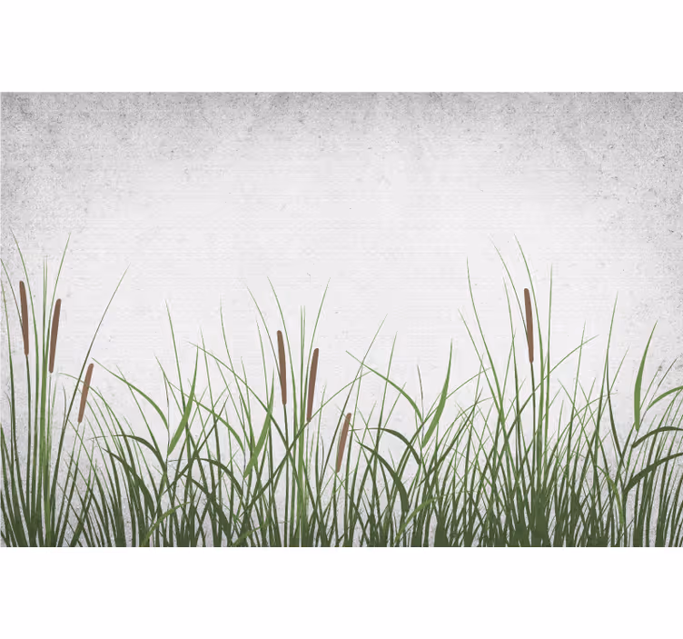 Foto tapete cvijet tulipan i trava - TenStickers