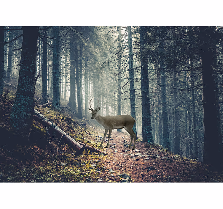 Foto tapete šumski jelen u šumi - TenStickers