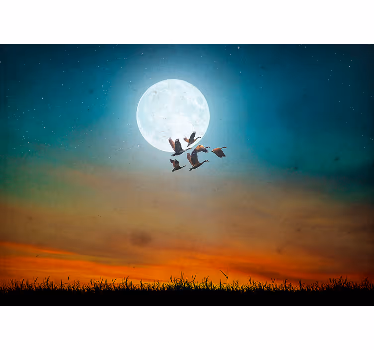 Tapete priroda mjesečevo nebo flock - TenStickers