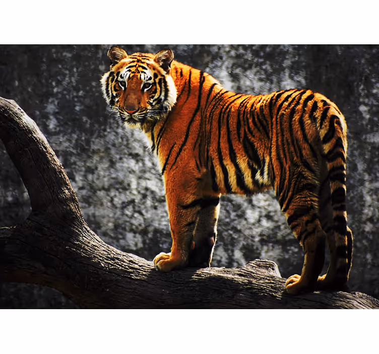 Zidni freske kraljevski tigar u stavu - TenStickers