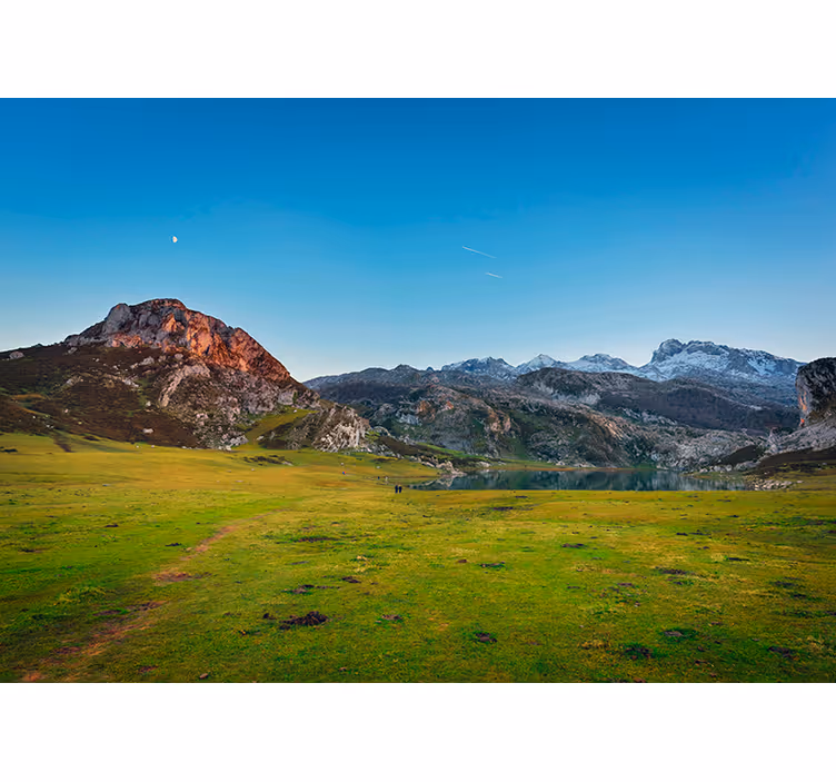 Foto tapeta planinski pašnjak - TenStickers