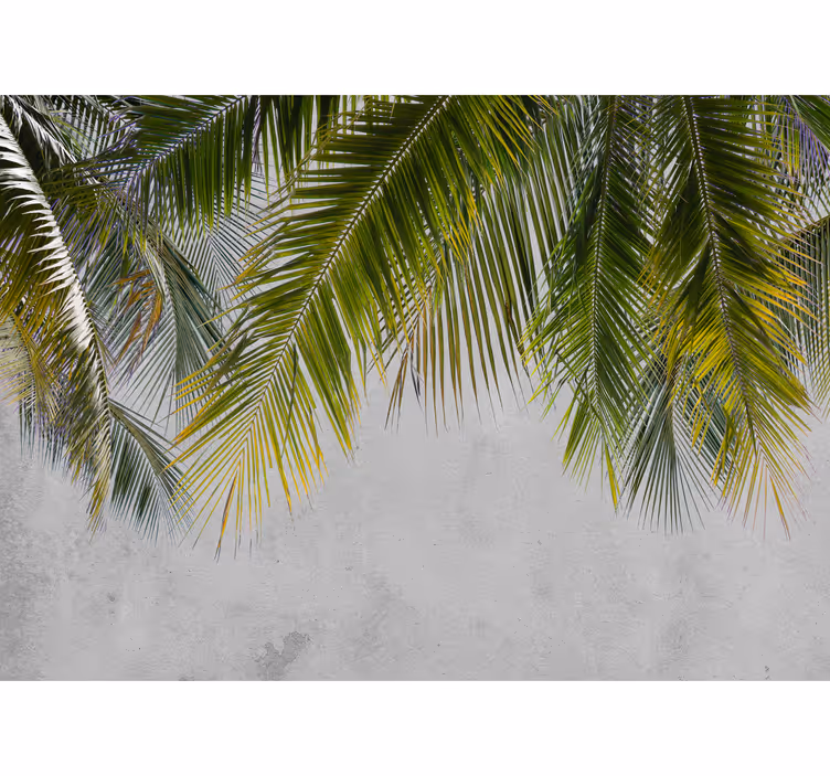 Foto tapete za dnevni boravak lisnati listovi palme - TenStickers