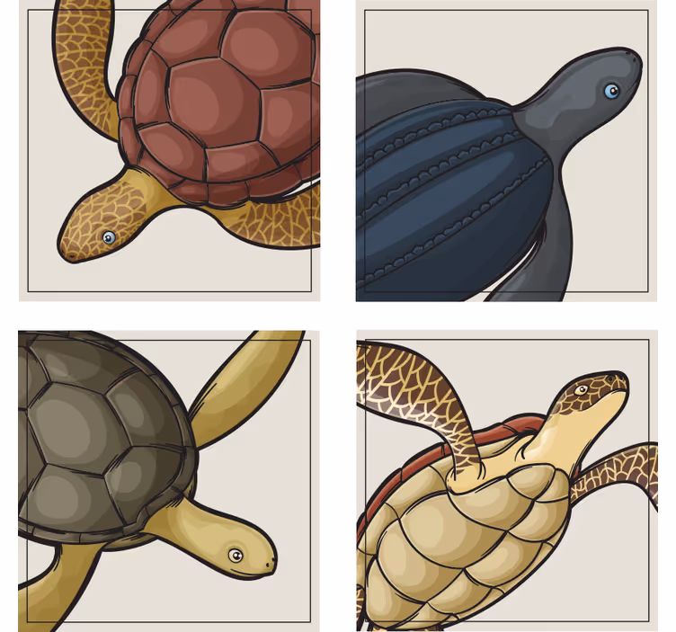 Kornjače set životinja za pločice - TenStickers