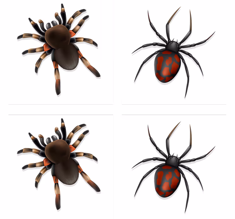 Realistični pauk halloween podmetač - TenStickers