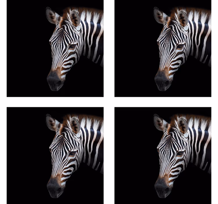 Podmetač za čaše moderan s ilustracijom glave zebre - TenStickers