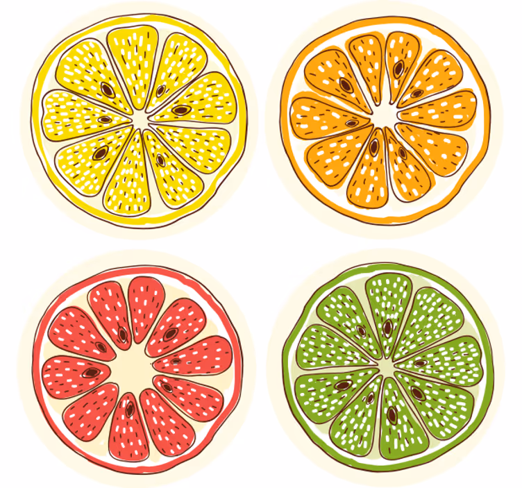 Podmetač za čaše nakaza motivi kriški citrusa - TenStickers