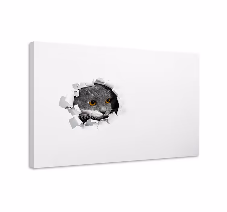 Slika na platnu mačke slatka mačka - TenStickers