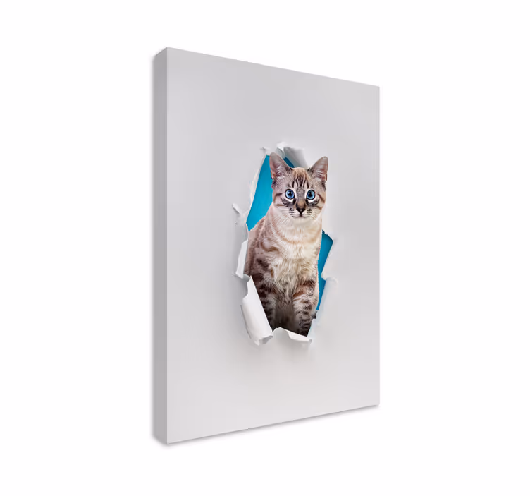 Slika na platnu mačke cat - TenStickers