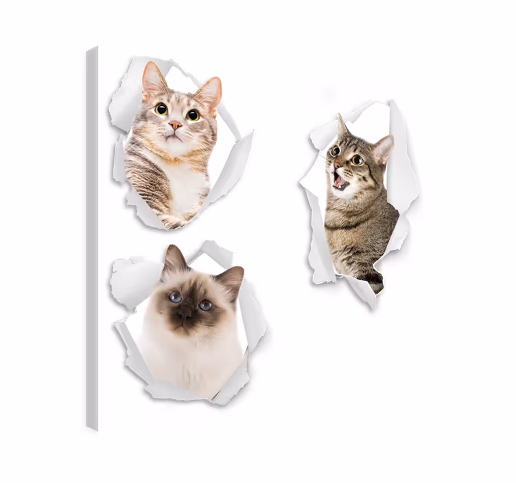 Slika na platnu mačke mačići trampantojo - TenStickers
