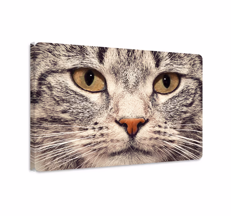 Slika na platnu mačke naljepnica za laptop s mačjim licem - TenStickers