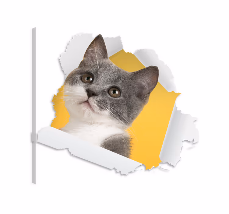 Slika na platnu mačke 3d naljepnica mačke - TenStickers