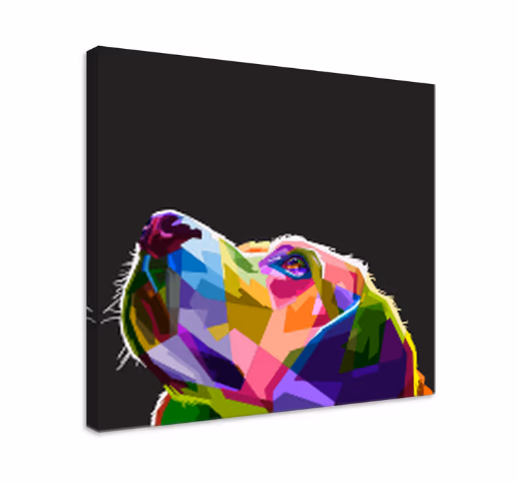 Otisci platna duginih pasa - TenStickers