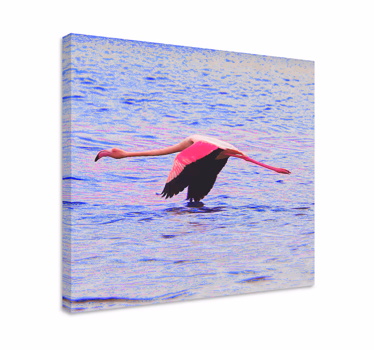 Slika na platnu riba flamingo u letu - TenStickers