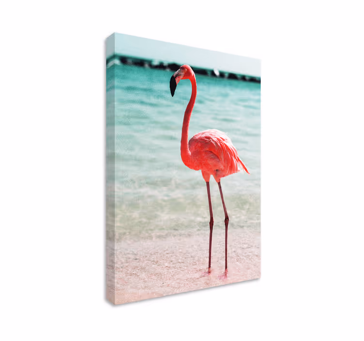 Slika na platnu ptica elegantan položaj flaminga - TenStickers