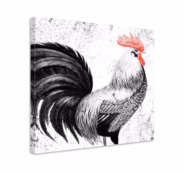 Crno i crveno platno za ptice pijetao - TenStickers